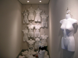 展示の様子 展示の様子