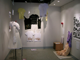 20展 20展