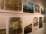 ナイヨン(写真展) ナイヨン(写真展)