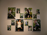 上智大学写真部学外展 上智大学写真部学外展