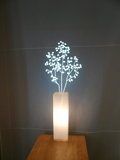 OCTA展 OCTA展