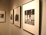 夫婦展 夫婦展