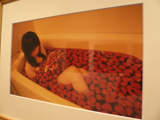 にちじょうのふしぎ展 にちじょうのふしぎ展