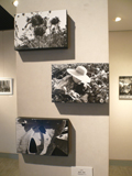 芝浦工業大学写真部写真展 芝浦工業大学写真部写真展