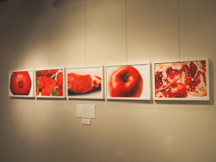 東京工芸大学学友会写真部 春展 東京工芸大学学友会写真部 春展