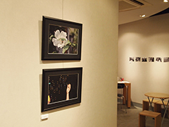 朝夜展 朝夜展