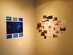 写真展「透」 写真展「透」