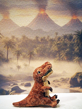 ガラパゴス-金沢和寛