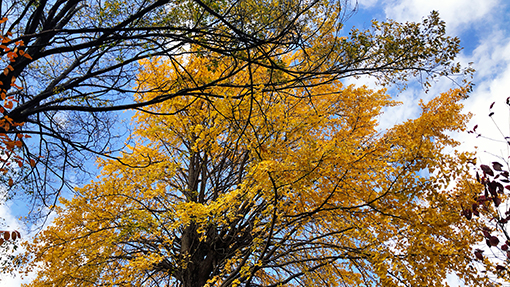 メインビジュアル