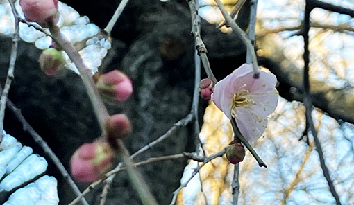 メインビジュアル