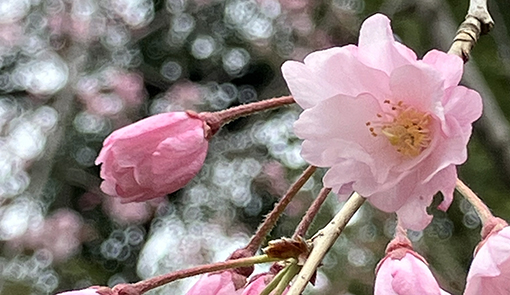 メインビジュアル